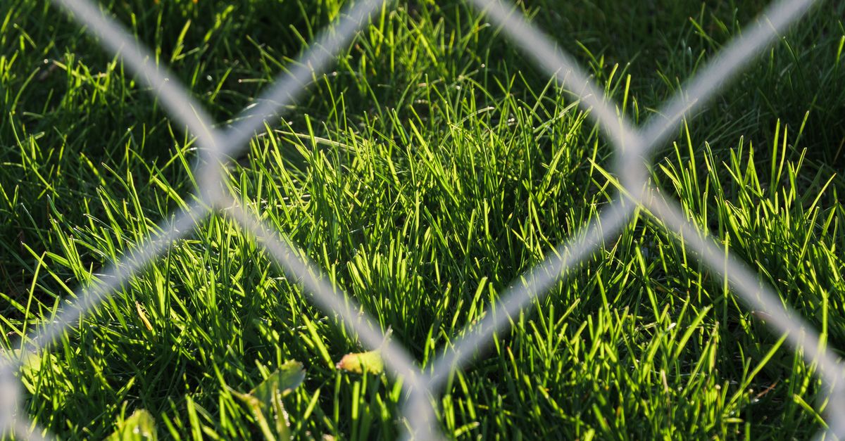 Choosing the Right Timber for Your Geelong Fence