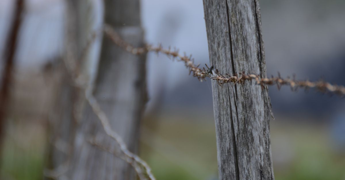 Colourbond Fencing vs Timber Fencing: A Comparative Analysis