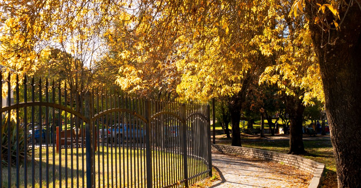 Comparing Chain Link and Palisade Fencing for Industrial Use