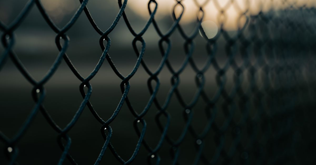 DIY Timber Fencing: A Step-by-Step Guide for Homeowners
