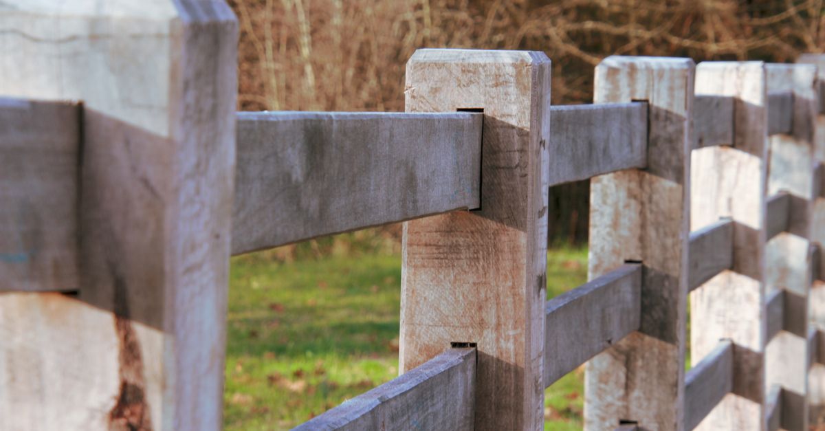 Enhancing Privacy with Timber Fencing Designs in Urban Settings