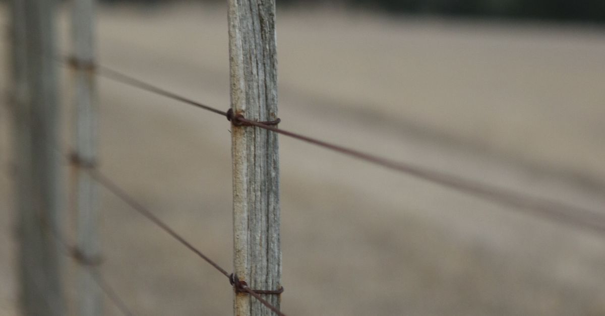 Natural Fencing Solutions: Embracing Hemp and Other Sustainable Options