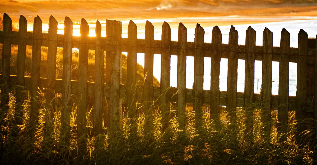 Navigating the Legal Aspects of Pool Fencing Installation