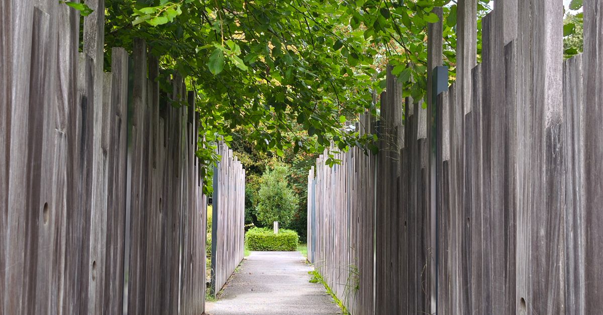 Preventing Rot and Decay in Timber Fences