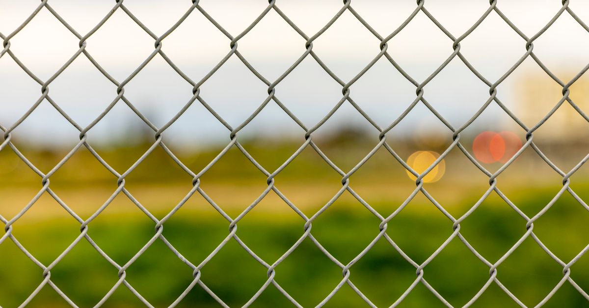 Recycled Plastic Fencing: Durable Options for Eco-conscious Homeowners