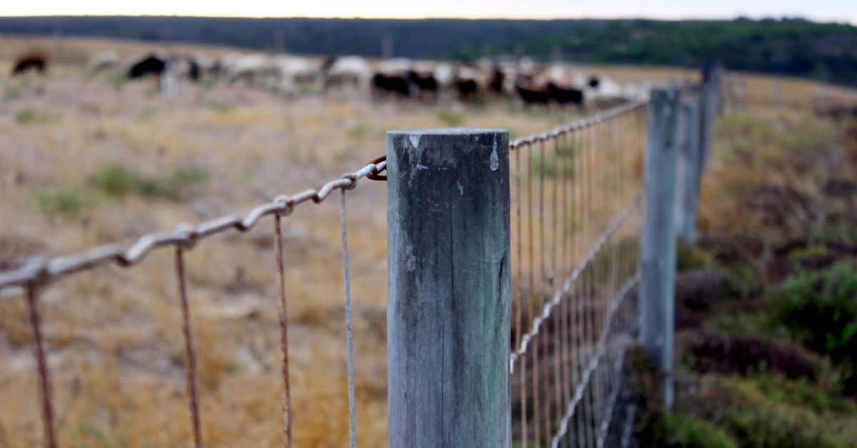 Securing Your Business Premises with Electronic Fencing Solutions