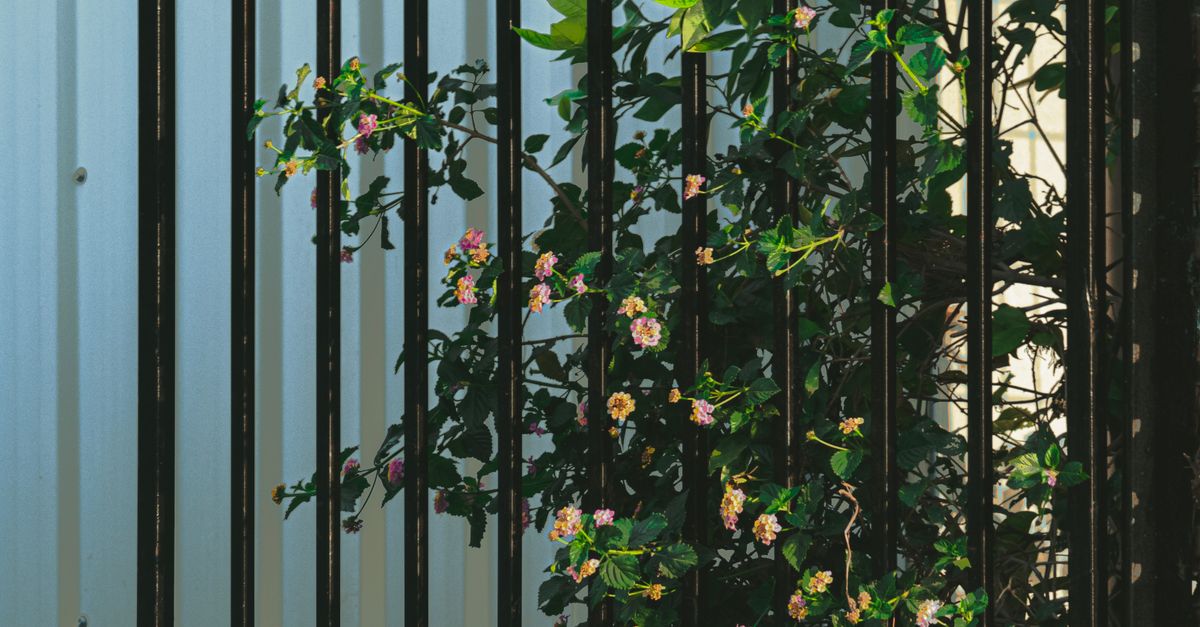 The Benefits of Hiring Professional Temporary Fencing Services for Events in Geelong