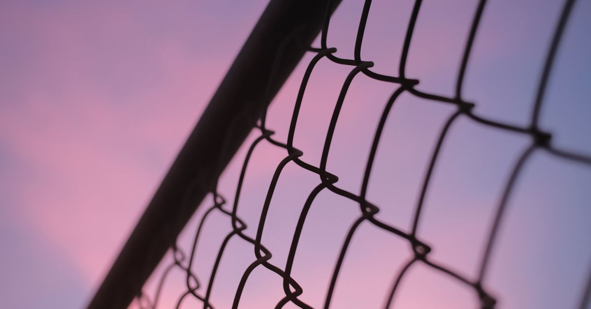 The Importance of Waterproofing Your Timber Fence