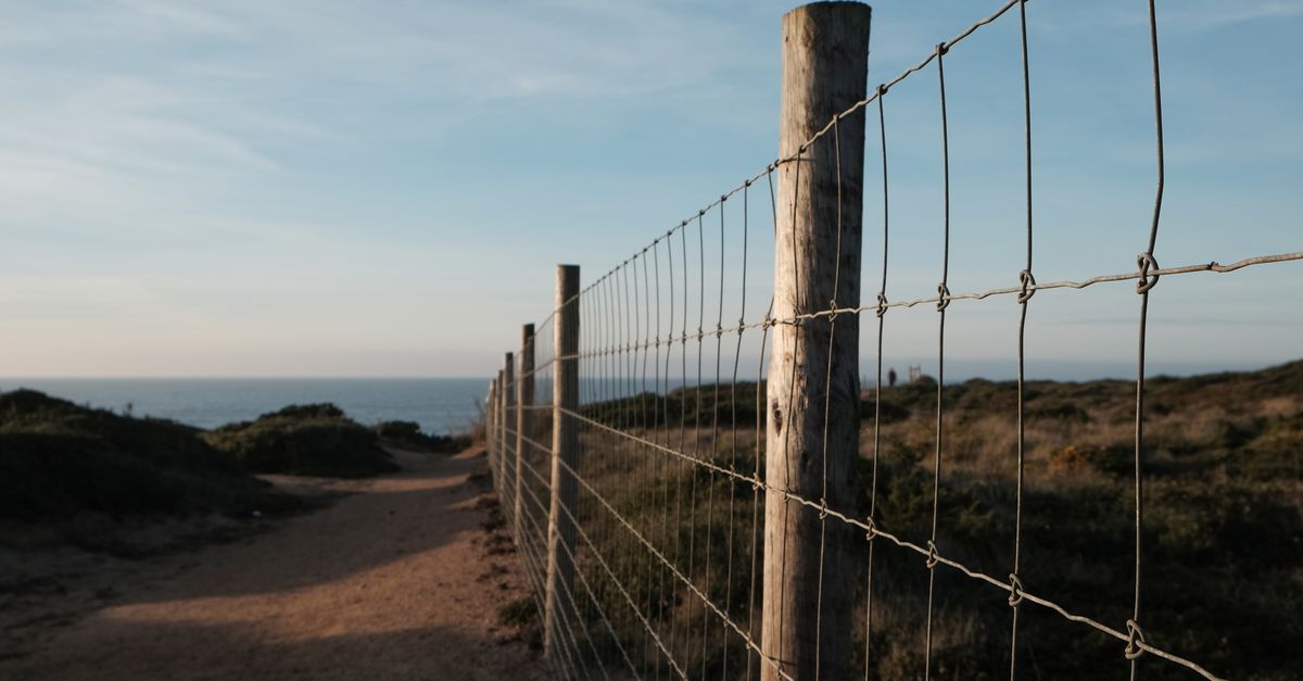 Understanding the Benefits of Acoustic Fencing for Noise Reduction in Suburban Areas