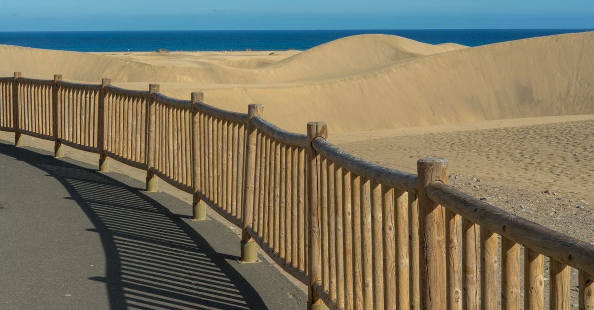 Unique Design Ideas for Custom Fencing in Geelong’s Business Sector